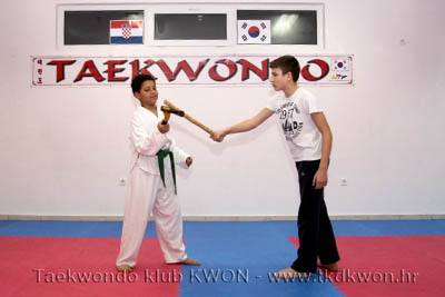 taekwondo kwon training